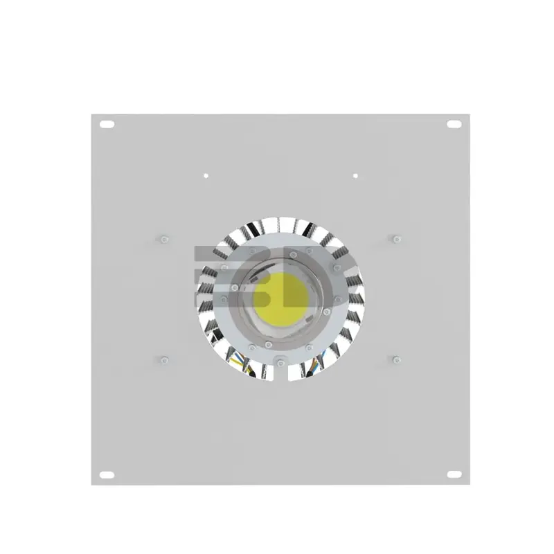 Petrol 100 (3G) 3000К 60°